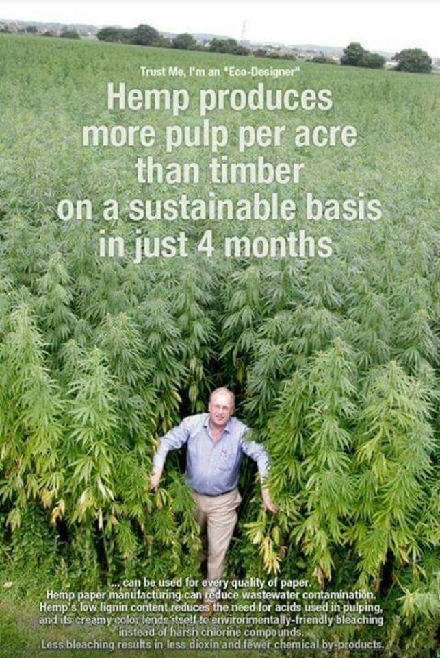 Hemp production v forestry